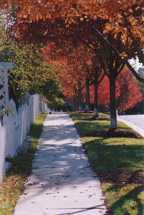autumn-sidewalk
